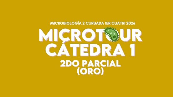 Producto - MICRO 2 CÁTEDRA 1 ORO (2DO PARCIAL)