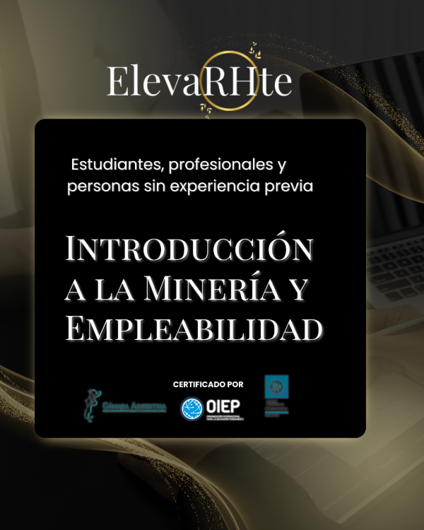 Producto - Introducción a la Minería y Empleabilidad