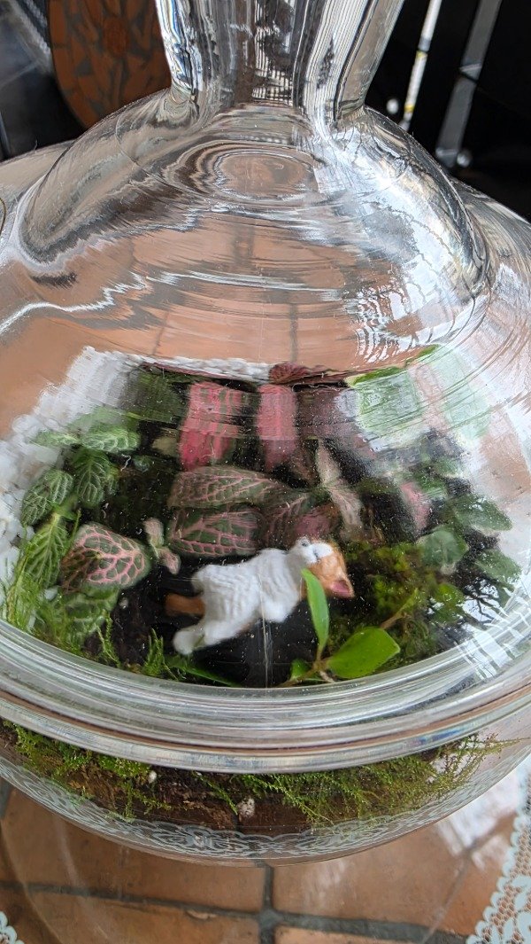 Producto - Terrario Luna - 1