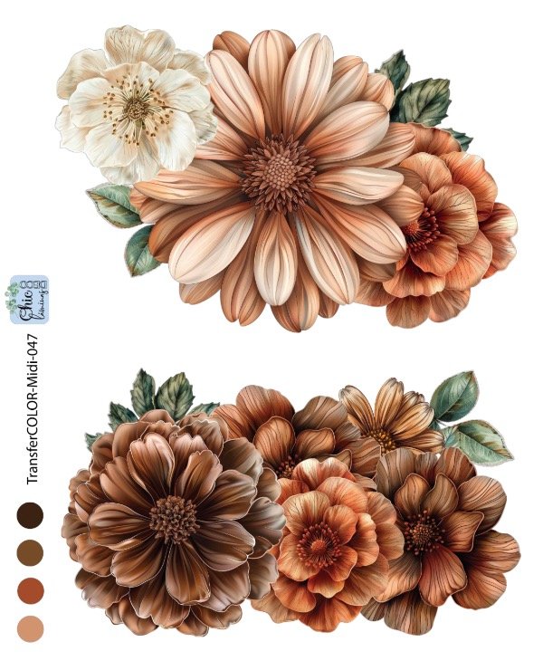 Producto - TransferCOLOR MIDI 047