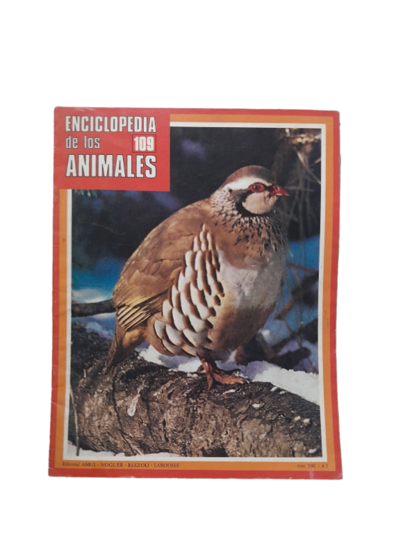 Miniatura de producto - 0