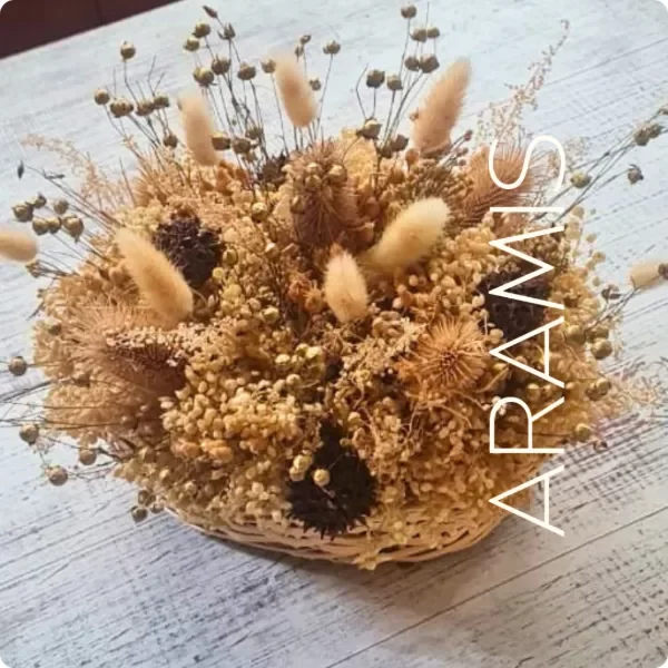 Producto - Estilo SLOW