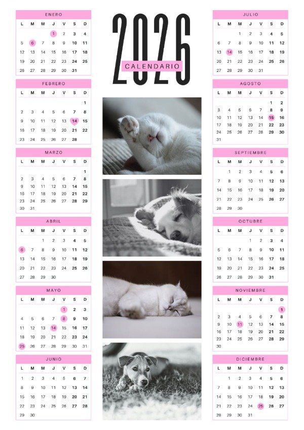 Producto - CALENDARIO 2026 PERSONALIZADO