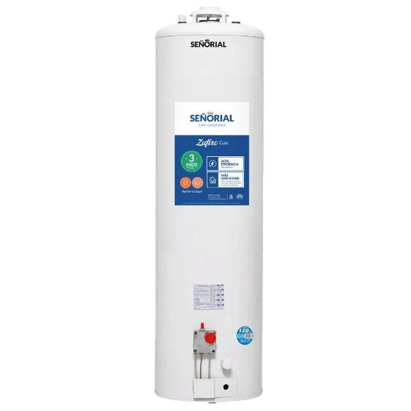 Producto - TERMOTANQUE MULTIGAS SEÑORIAL DE PIE 120 LTS