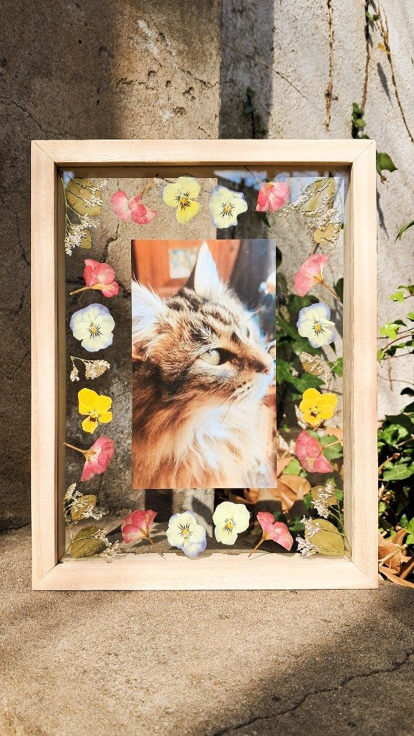 Producto - Kimura Personalizado con tu fotografía