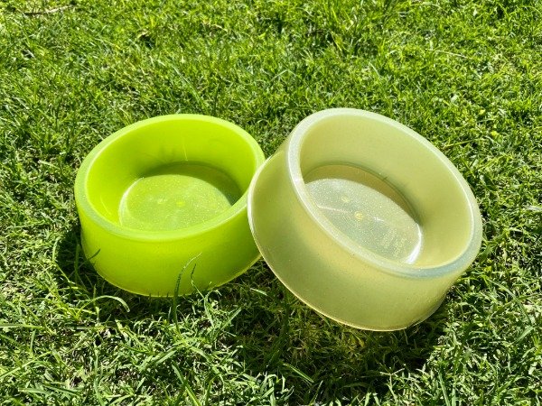 Producto - Comedero XL con Glitter