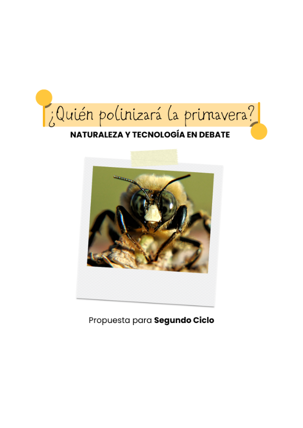 Producto - Polinizadores de la primavera - Segundo Ciclo - 0