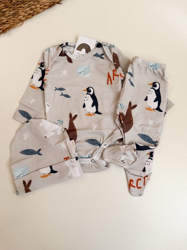 Producto - Ajuar estampado ártico