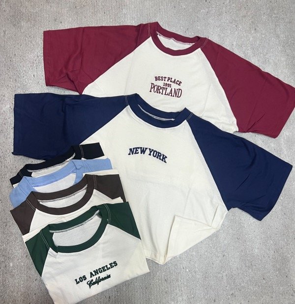 Producto - Remera bordada combinada premium