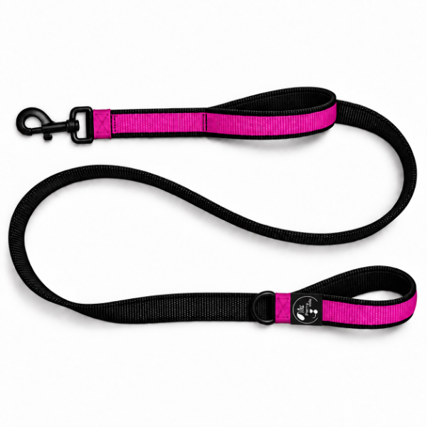 Producto - CORREA URBANO / Con doble Asa Acolchada - 1