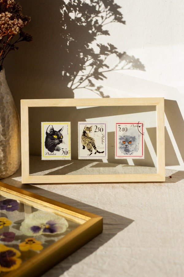 Producto - Estampillas Gatitos Polska