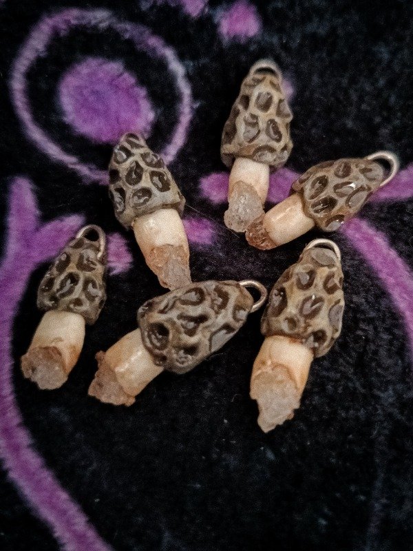Producto - Seta petit Morchella Esculenta