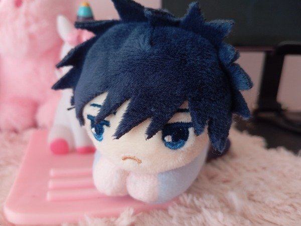 Producto - Megumi hugcot Plushie Original - Stock inmediato