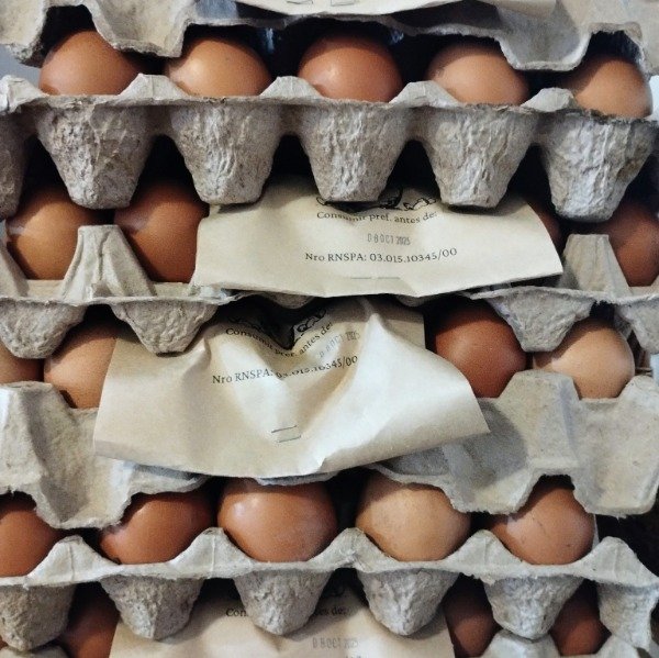 Producto - Huevos de campo de gallinas libres de jaula