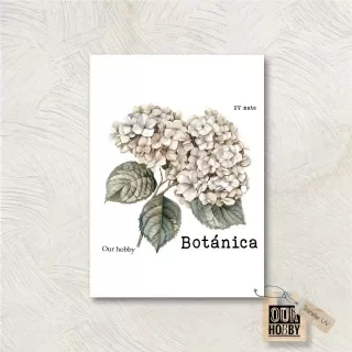 Producto - Transfer UV 053