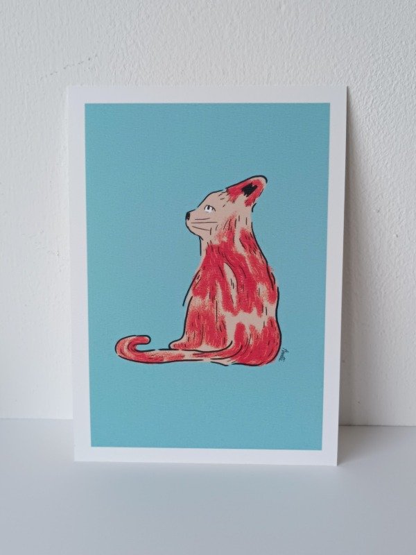 Producto - Gato