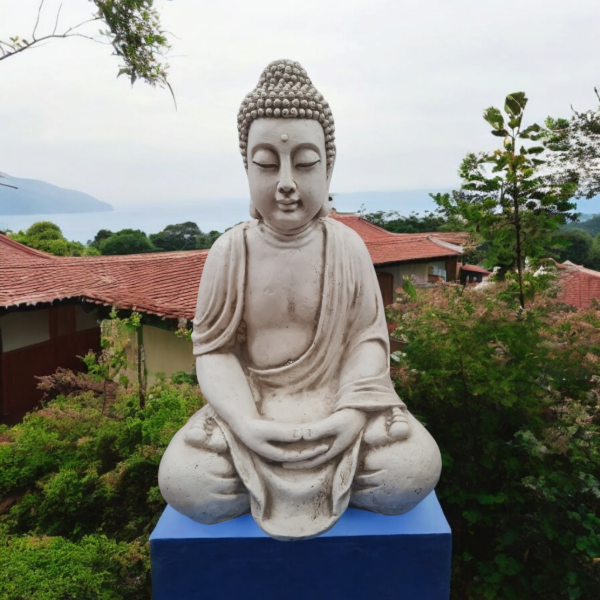 Producto - BUDA DE 70 CM