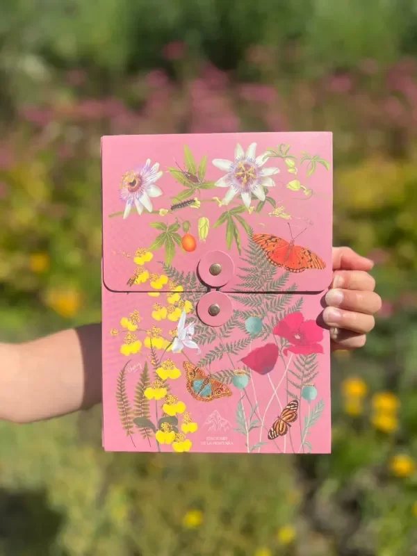Producto - Kit de papelería nativas