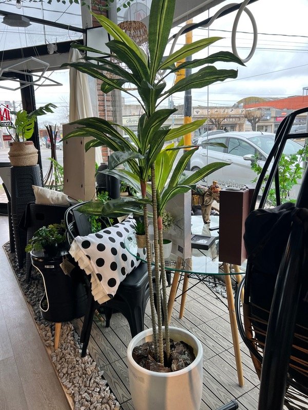 Producto - Planta artificial Palo De Agua 1.60 mt
