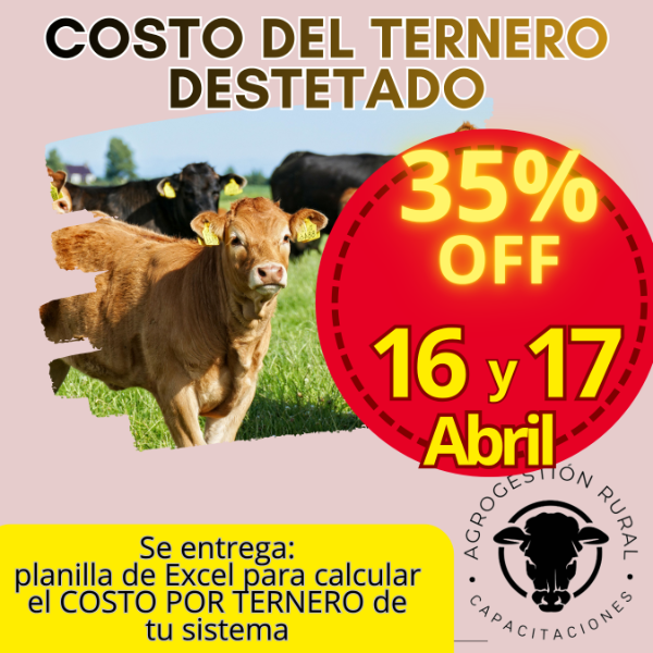 Producto - Taller Online: Costo del Ternero