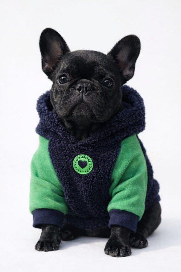 Producto - Hoodie Mint