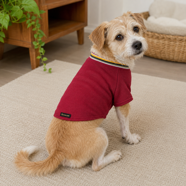 Producto - Remera Raglan Lanilla 119B - 1