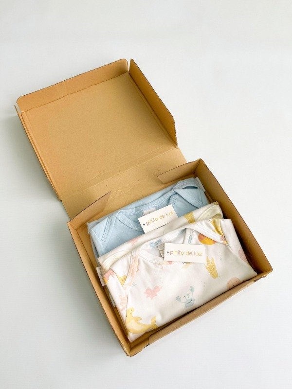 Producto - BOX 2 BODIES 9 A 12 MESES