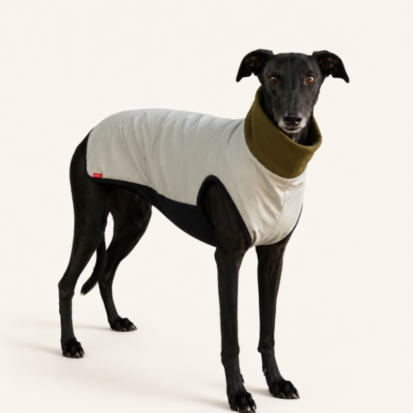 Producto - Abrigo Elegance Galgo