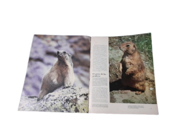 Miniatura de producto - 5