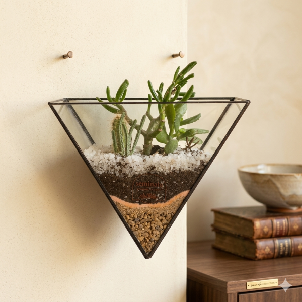 Producto - Terrario de pared HORUS
