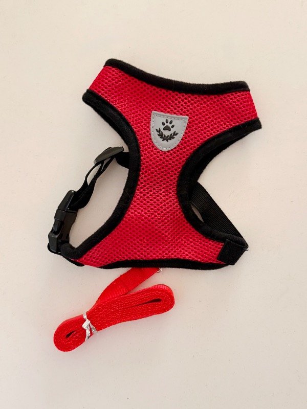 Producto - Pretales Red - 4