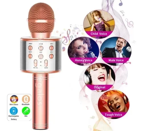 Producto - MICROFONO KARAOKE EFECTO DE v