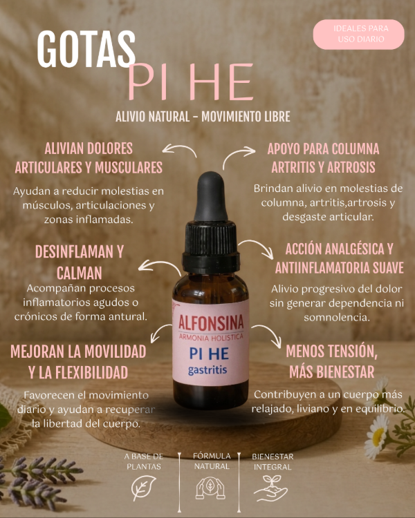 Producto - GOTAS PI HE (Gastritis)