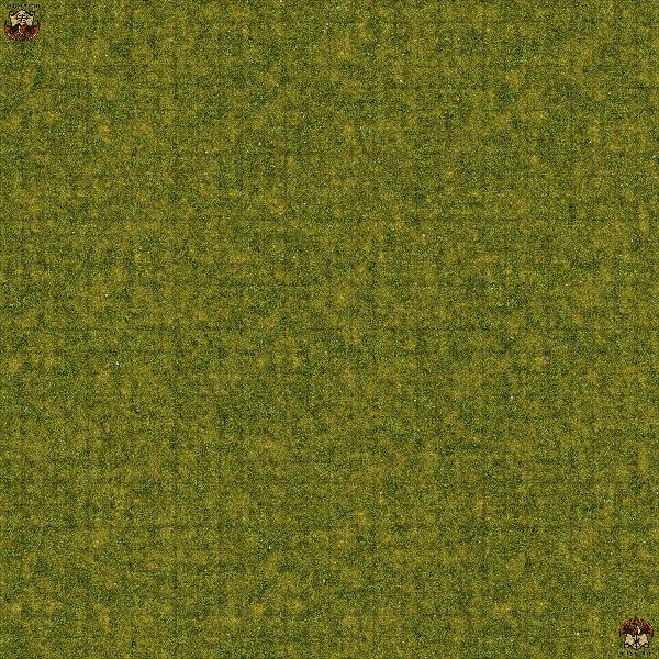 Producto - Bosque 1 XL