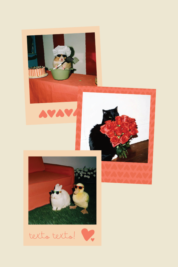 Producto - pack 14 polaroids [lover]