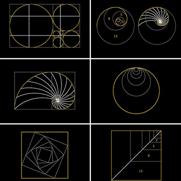 Producto - Láminas para Imprimir - Proporción Aurea