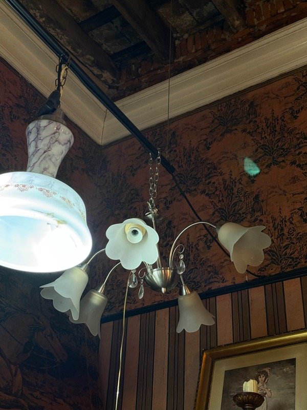 Producto - Colgante tulipa de 5 luces cromado