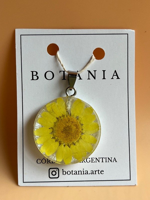 Producto - Margaritas 2