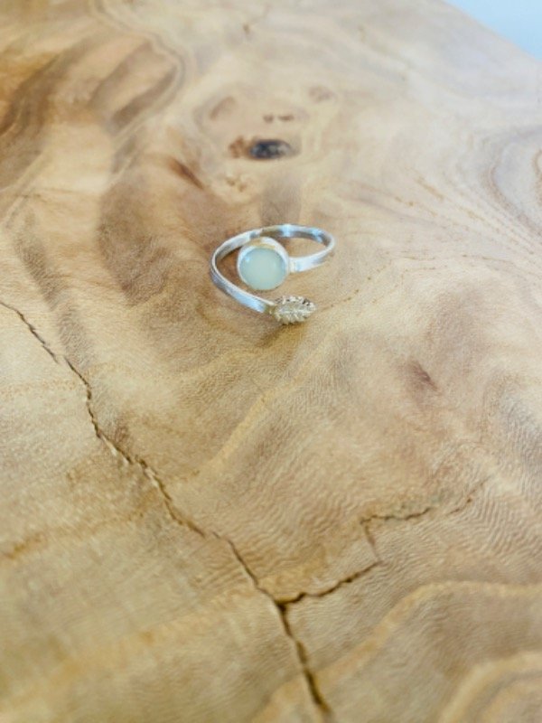 Producto - Anillo Círculo Hojita