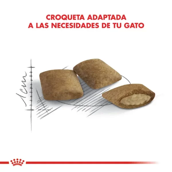 Producto - Alimento Royal Canin Gato Ageing +12 - 2 Kg - 2