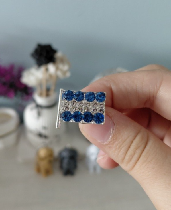 Producto - Pin metalizado en LIQUIDACIÓN!! ÚNICA UNIDAD EN STOCK #141224