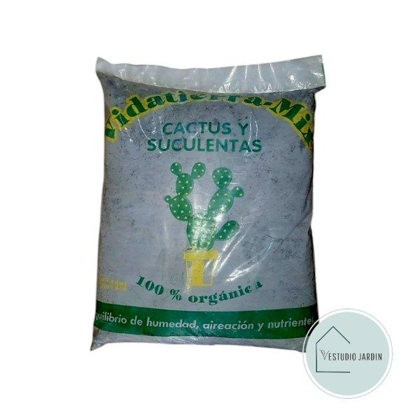 Producto - Cactus y Suculentas