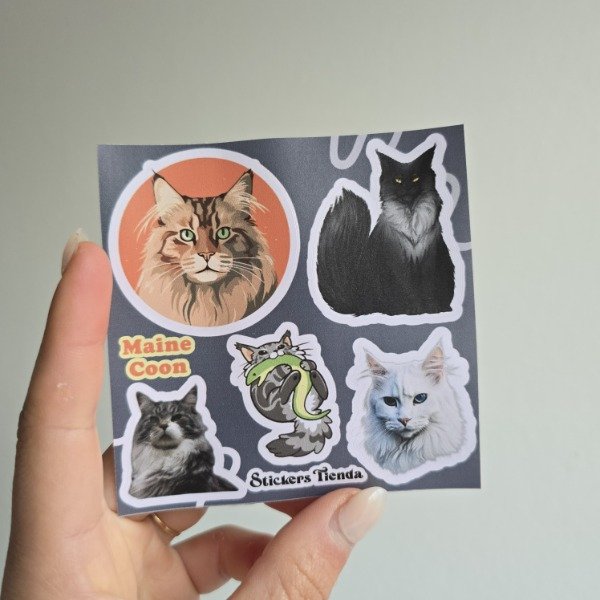 Producto - Planchita mini Maine Coon
