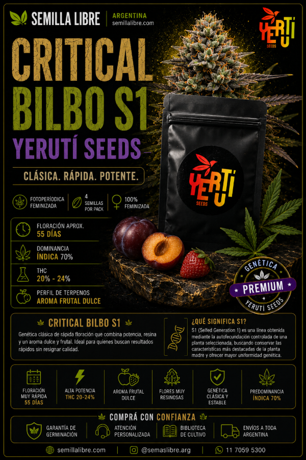 Producto - CRITICAL BILBO S1. YERUTÍ. Pack 4 semillas - 1