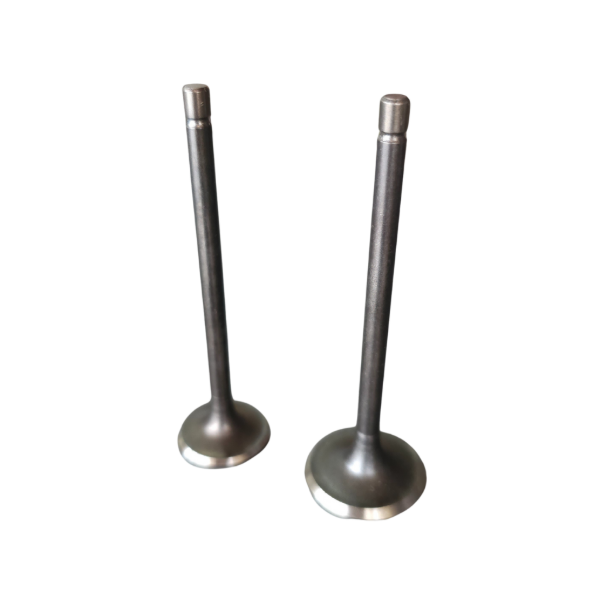 Producto - MOT- VALVULA ADM/ESC. SKUA 250 OSAKA