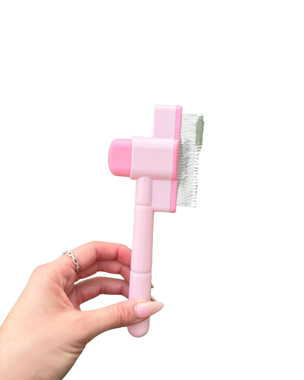 Producto - Cepillo Gato con boton