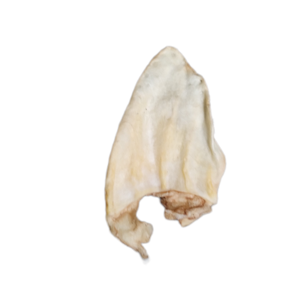 Producto - Orejas - Palito Multicolor