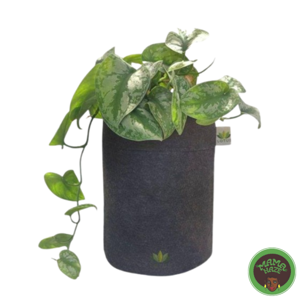Producto - Maceta GEOTEXTIL - LOTUS 10L