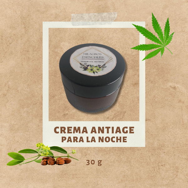 Producto - Crema antiage CBD - Para la noche (30g)