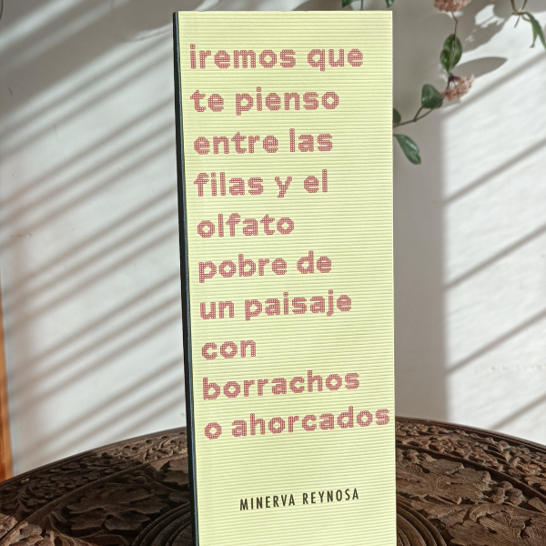 Producto - Iremos que te pienso entre las filas y el olfato pobre de un paisaje...